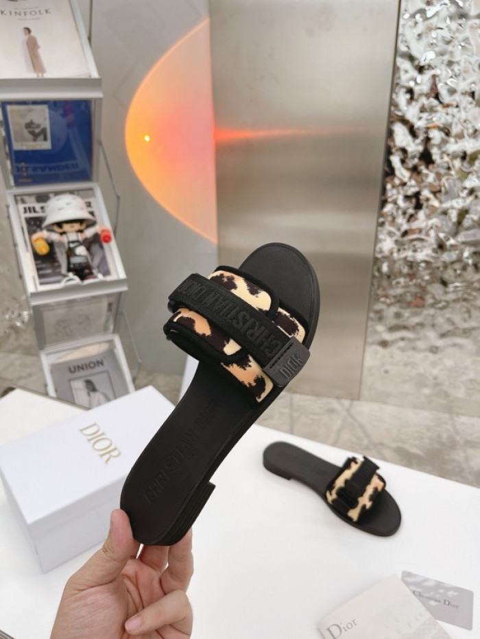 D1OR DIO EVOLUTION SLIDE