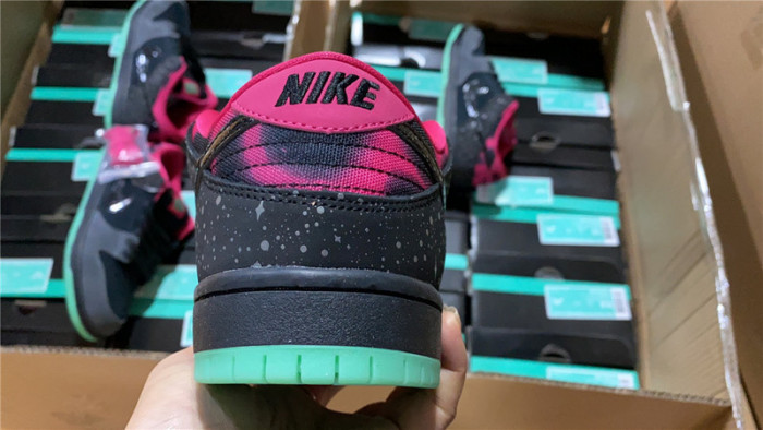 premier x nike sb dunk low premium “N0*Hern lights” 724183-063