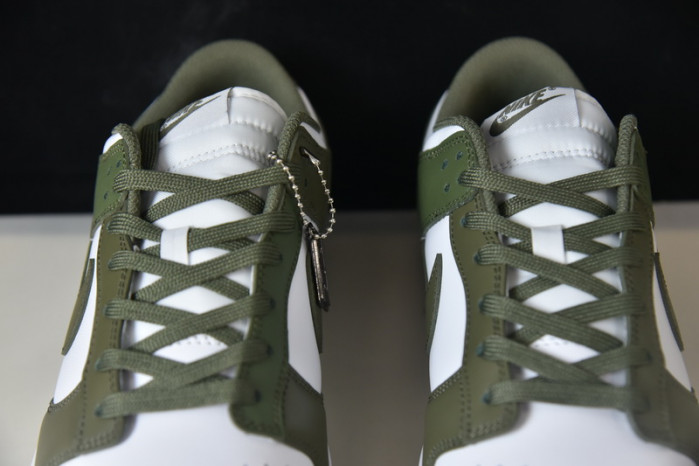 nike dunk low “medium olive” dd1503-120